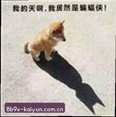 陈静